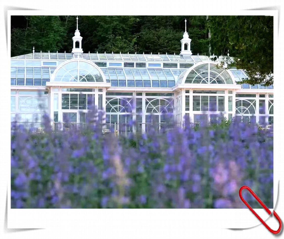 How To Style A Stunning Wedding In A Victorian Greenhouse